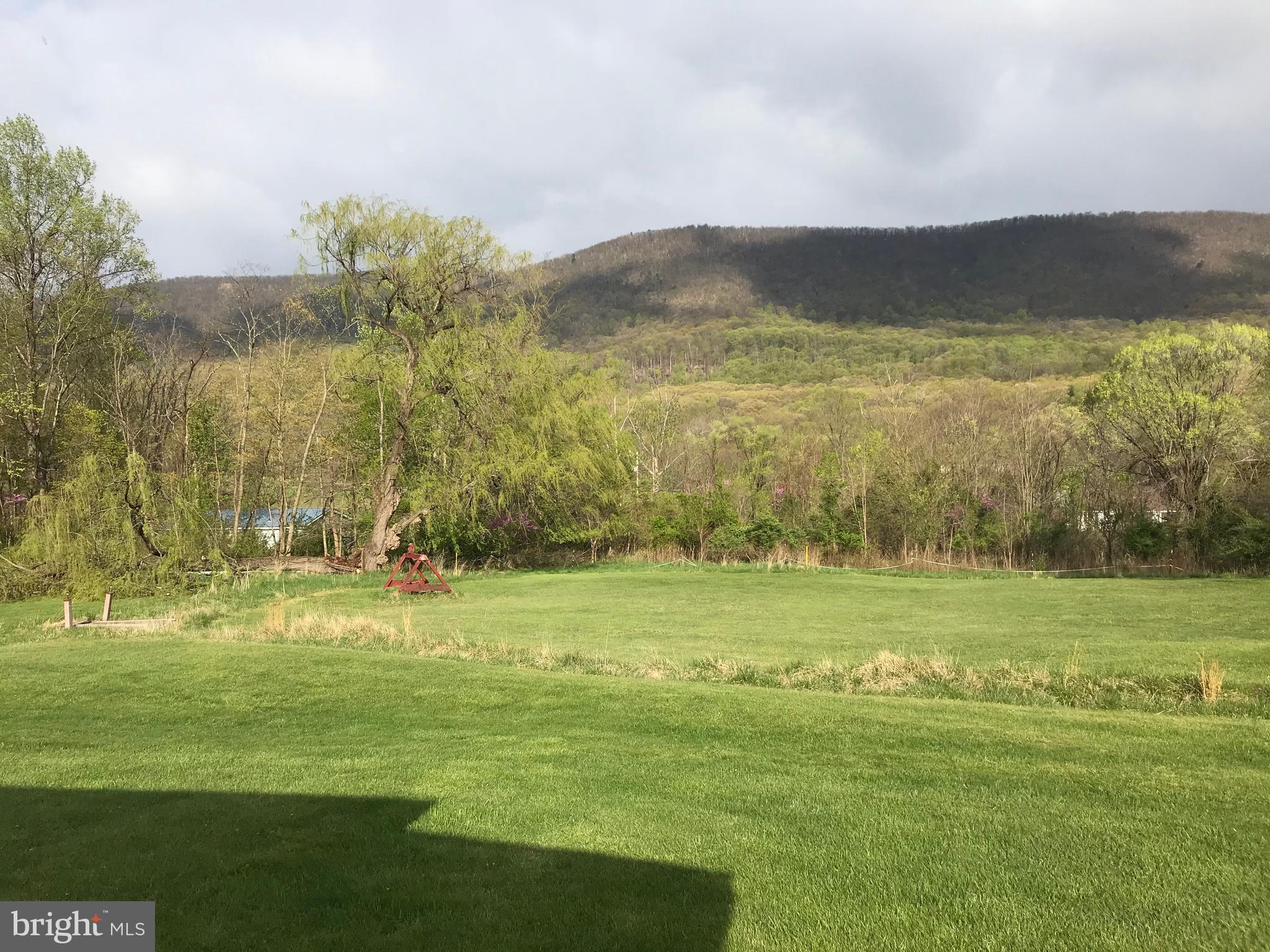 5670 Cold Run Valley Road Berkeley Springs, WV 25411 - Photo 24 of 26 Side Yard