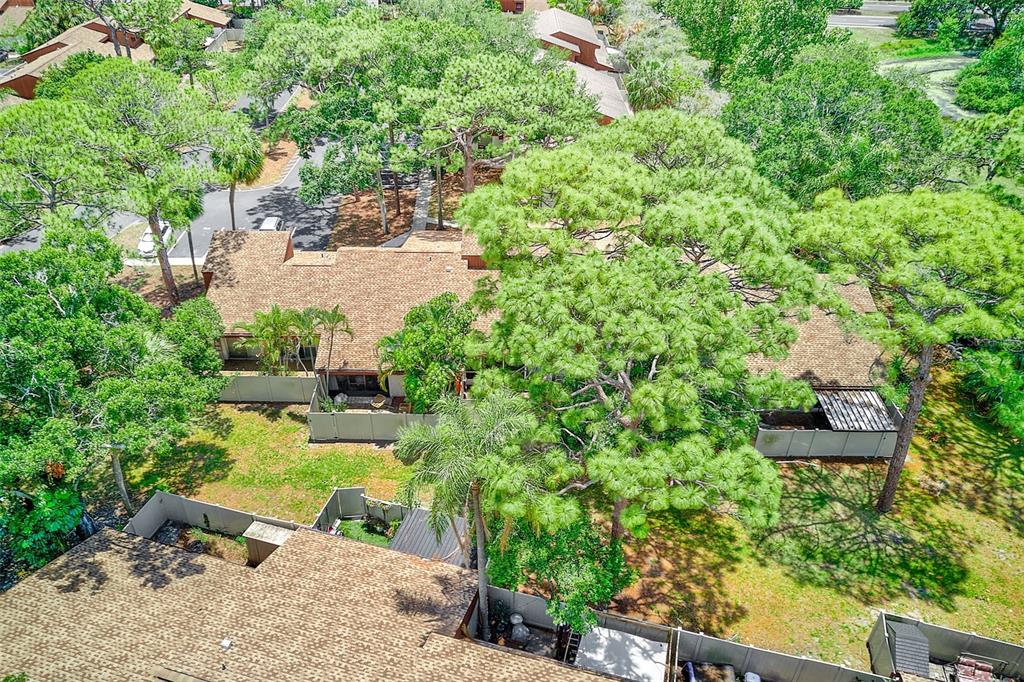 2064 Sunset Point Road, Unit 73 Clearwater, FL 33765 - Photo 48 of 58 a view of a garden with plants and large trees