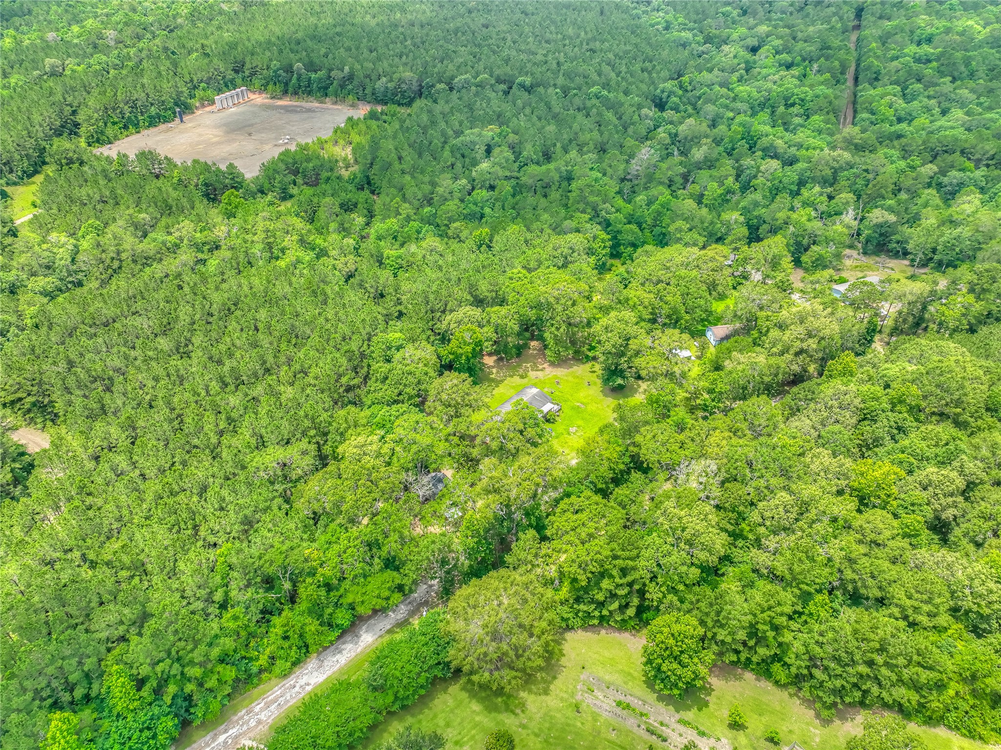 657 Parrish Road Livingston, TX 77351 - Photo 43 of 47 a view of a lush green forest