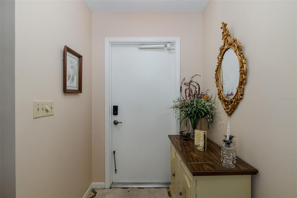 8015 San Fernando Drive Port Richey, FL 34668 - Photo 22 of 46 a view of storage and utility room with a potted plant