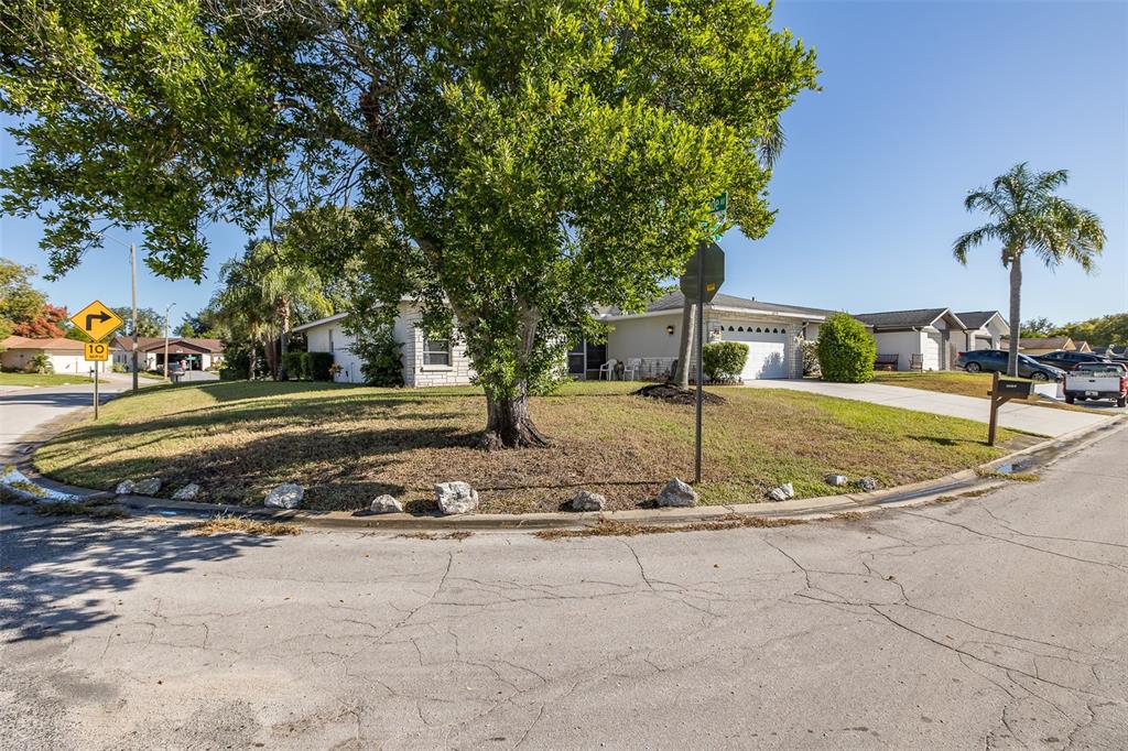 8015 San Fernando Drive Port Richey, FL 34668 - Photo 25 of 46 a view of a yard with cars