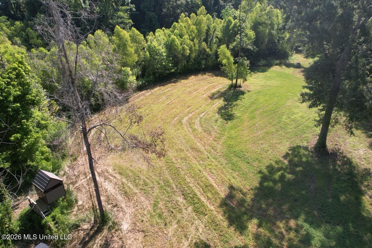 Annas Bottom Road Natchez, MS 39120 - Photo 7 of 48 DJI_0397 Large