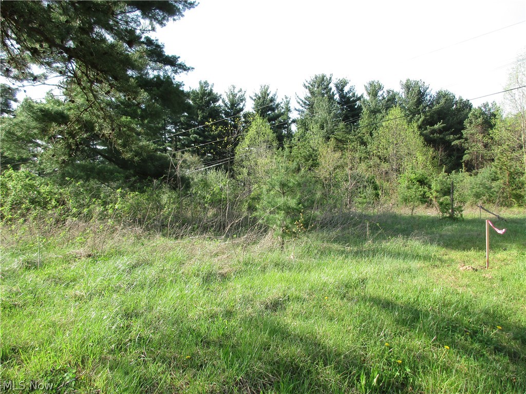 1-2 Warren Chapel Road Fleming, OH 45729 - Photo 3 of 7 Property View