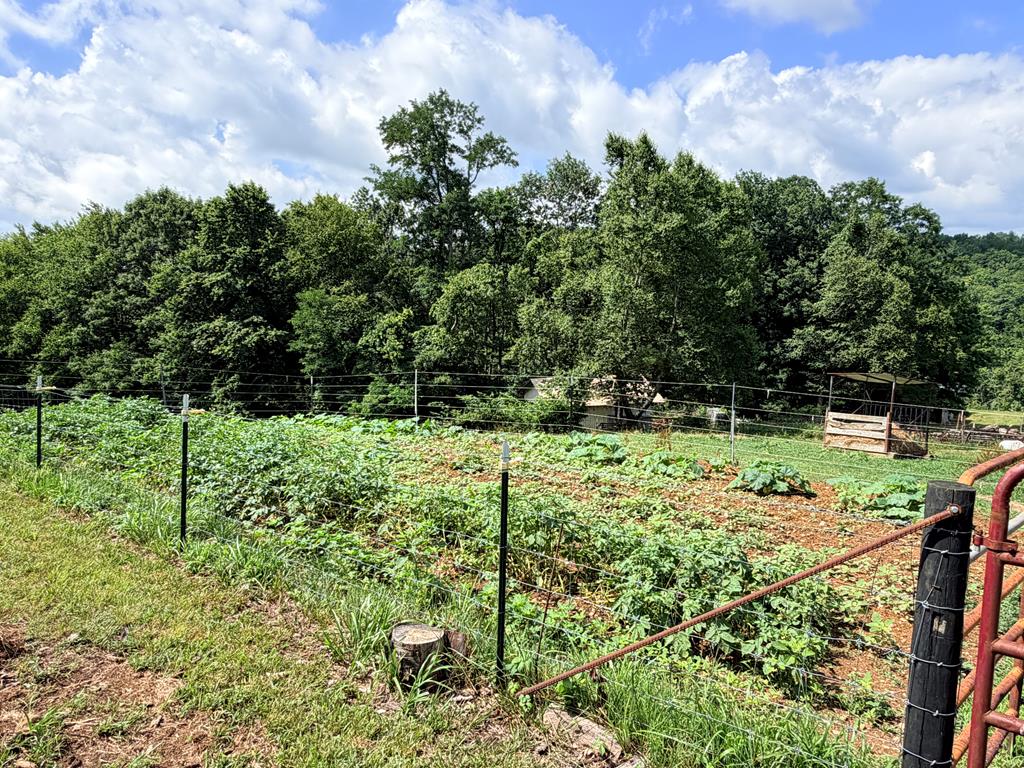 72 Fox Glen Road Fancy Gap, VA 24328 - Photo 59 of 66 Gallery Image 59