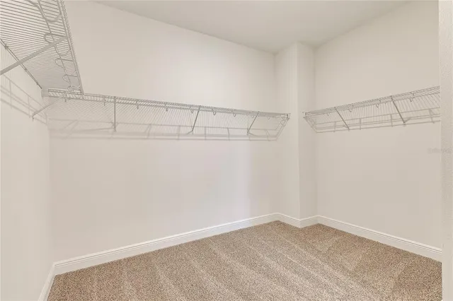 a view of a room with racks on the wall