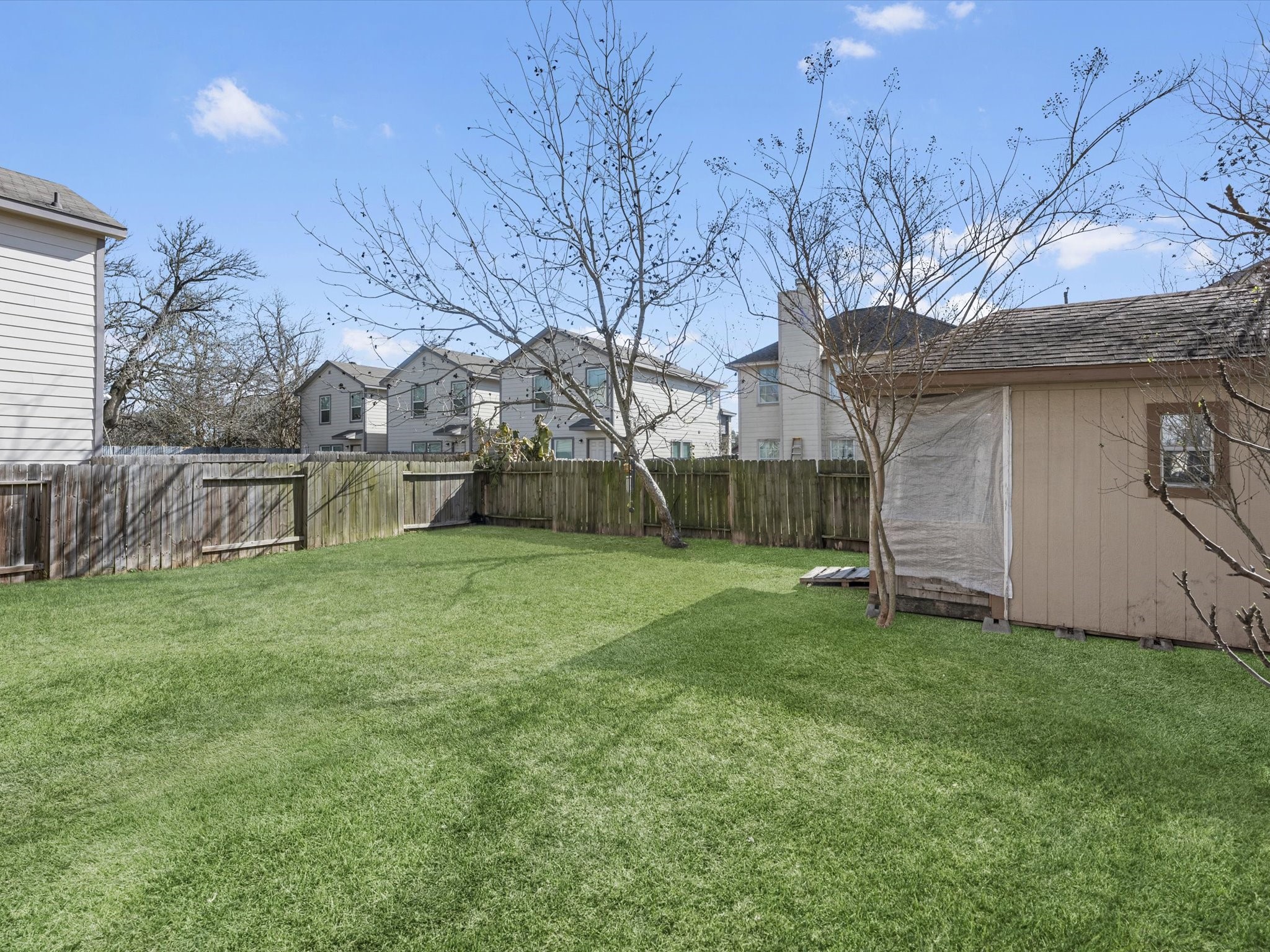 8906 Intervale Street Houston, TX 77075 - Photo 19 of 21 a view of a backyard with a large tree