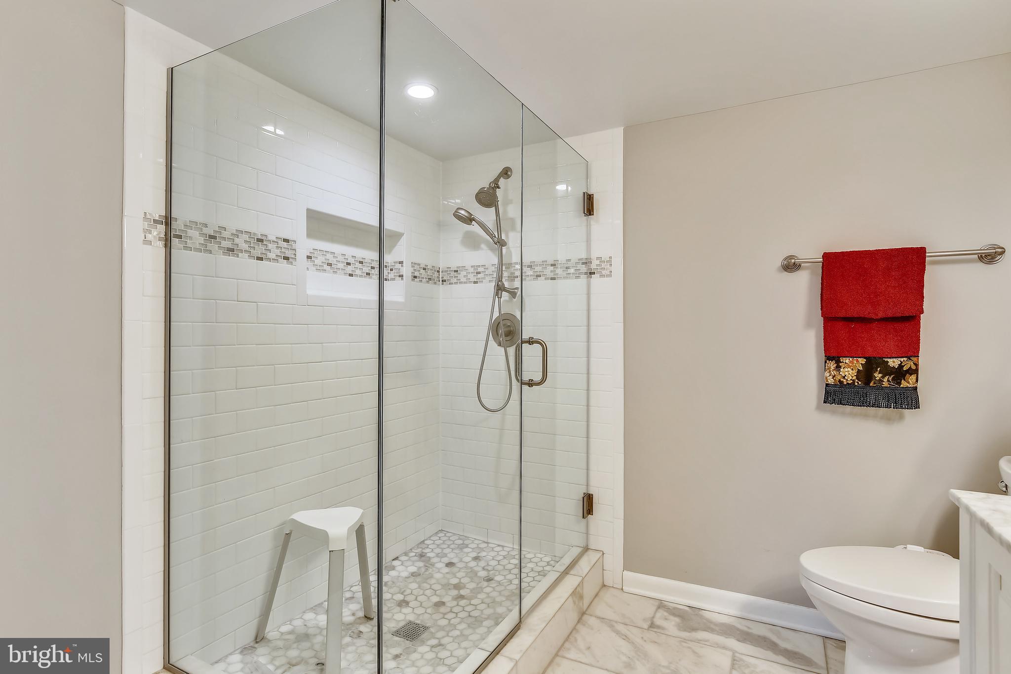 11173 Lake Chapel Lane Reston, VA 20191 - Photo 37 of 92 Shower
