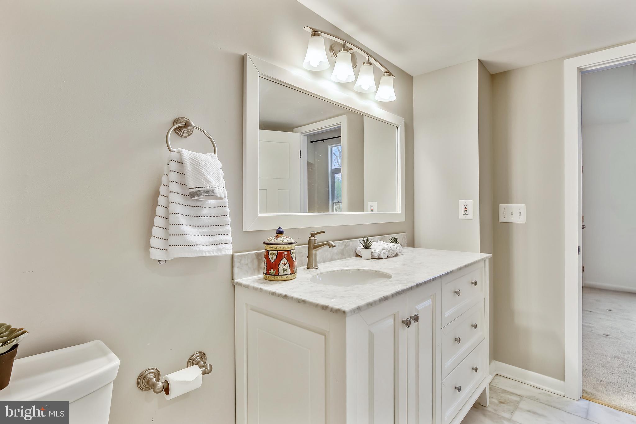 11173 Lake Chapel Lane Reston, VA 20191 - Photo 38 of 92 Vanity