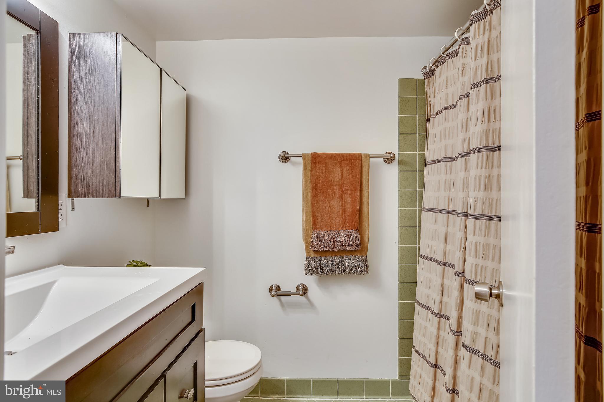 11173 Lake Chapel Lane Reston, VA 20191 - Photo 46 of 92 Hall Bath