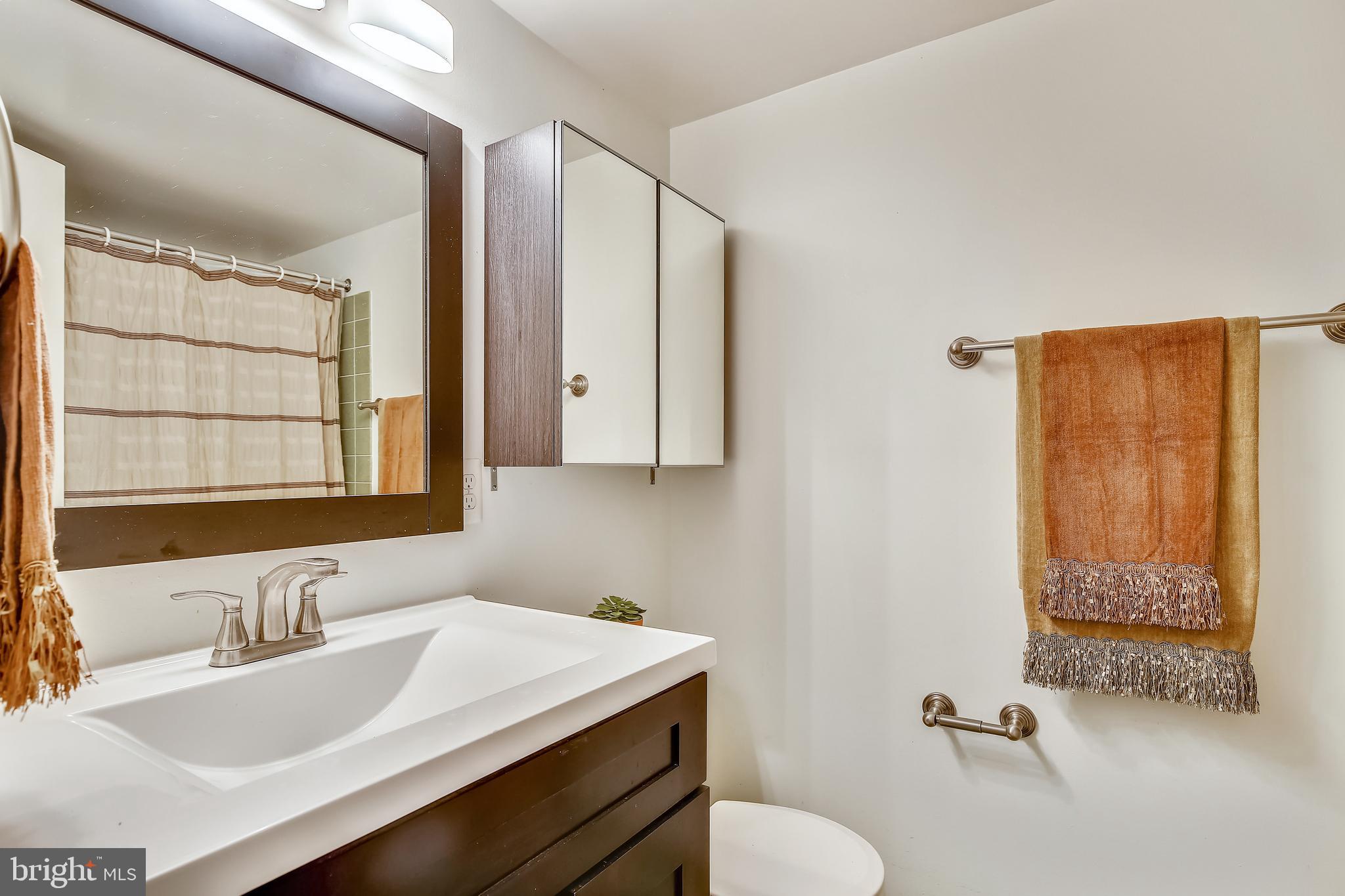 11173 Lake Chapel Lane Reston, VA 20191 - Photo 48 of 92 Hall Bath