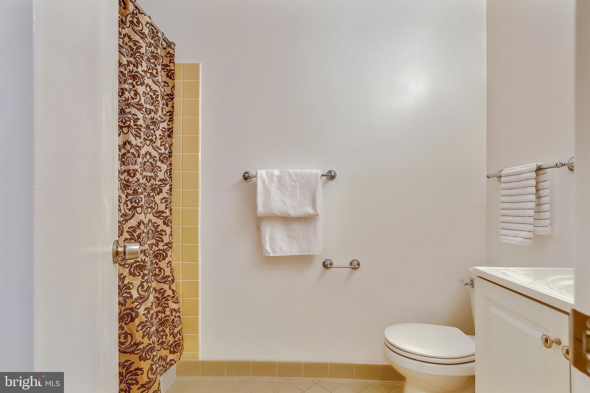 11173 Lake Chapel Lane Reston, VA 20191 - Photo 55 of 92 Lower Level Full Bath
