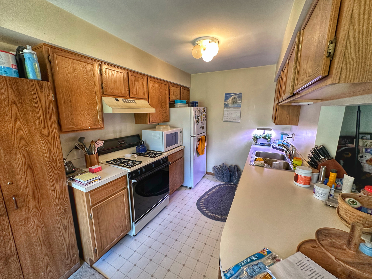 306 Cane Garden Circle Aurora, IL 60504 - Photo 2 of 13 a room with storage and utility