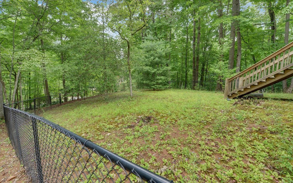475 Hamilton Road Blairsville, GA 30512 - Photo 30 of 53