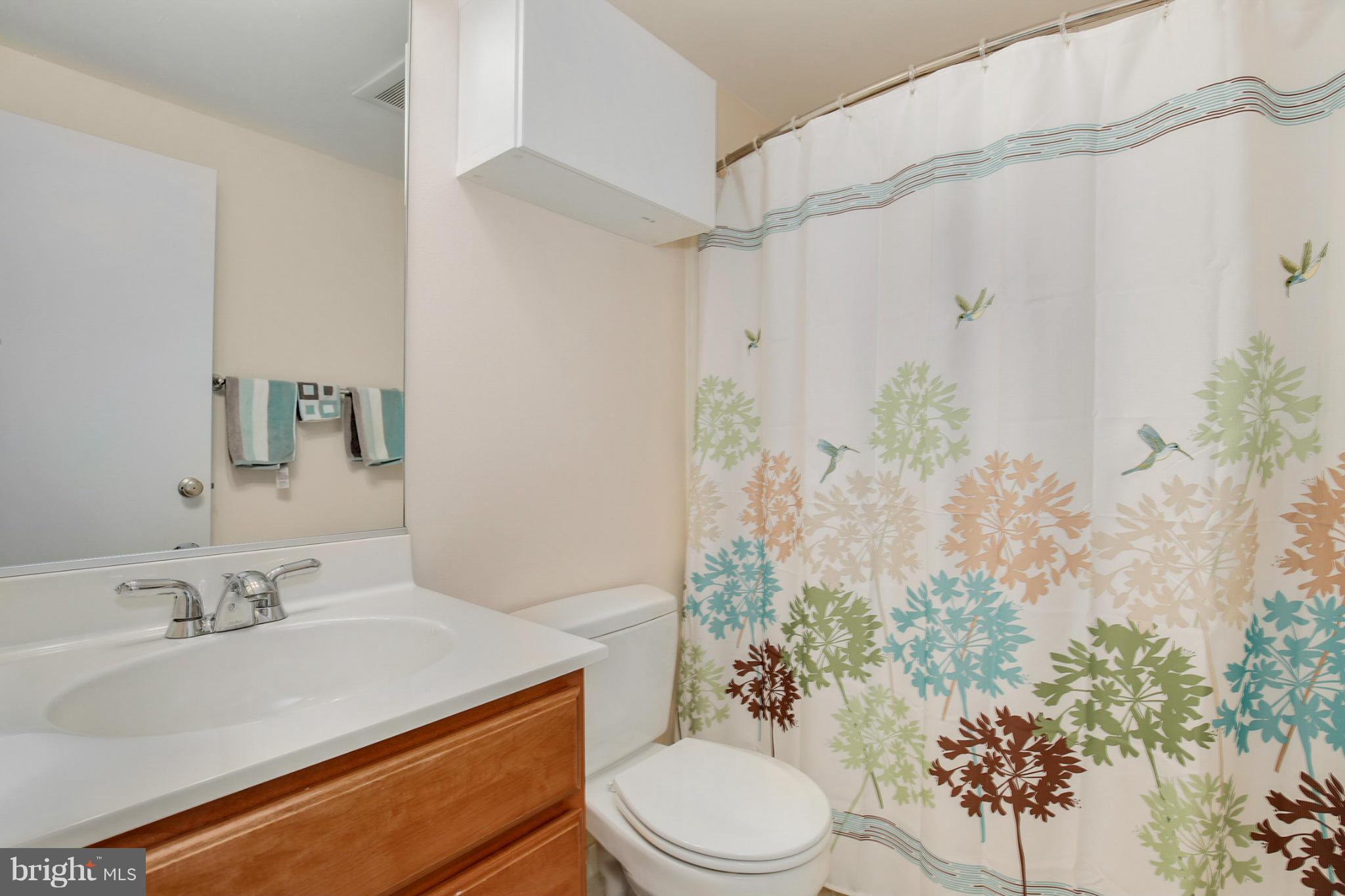 9514 Sweet Grass Ridge Columbia, MD 21046 - Photo 19 of 28 Bath