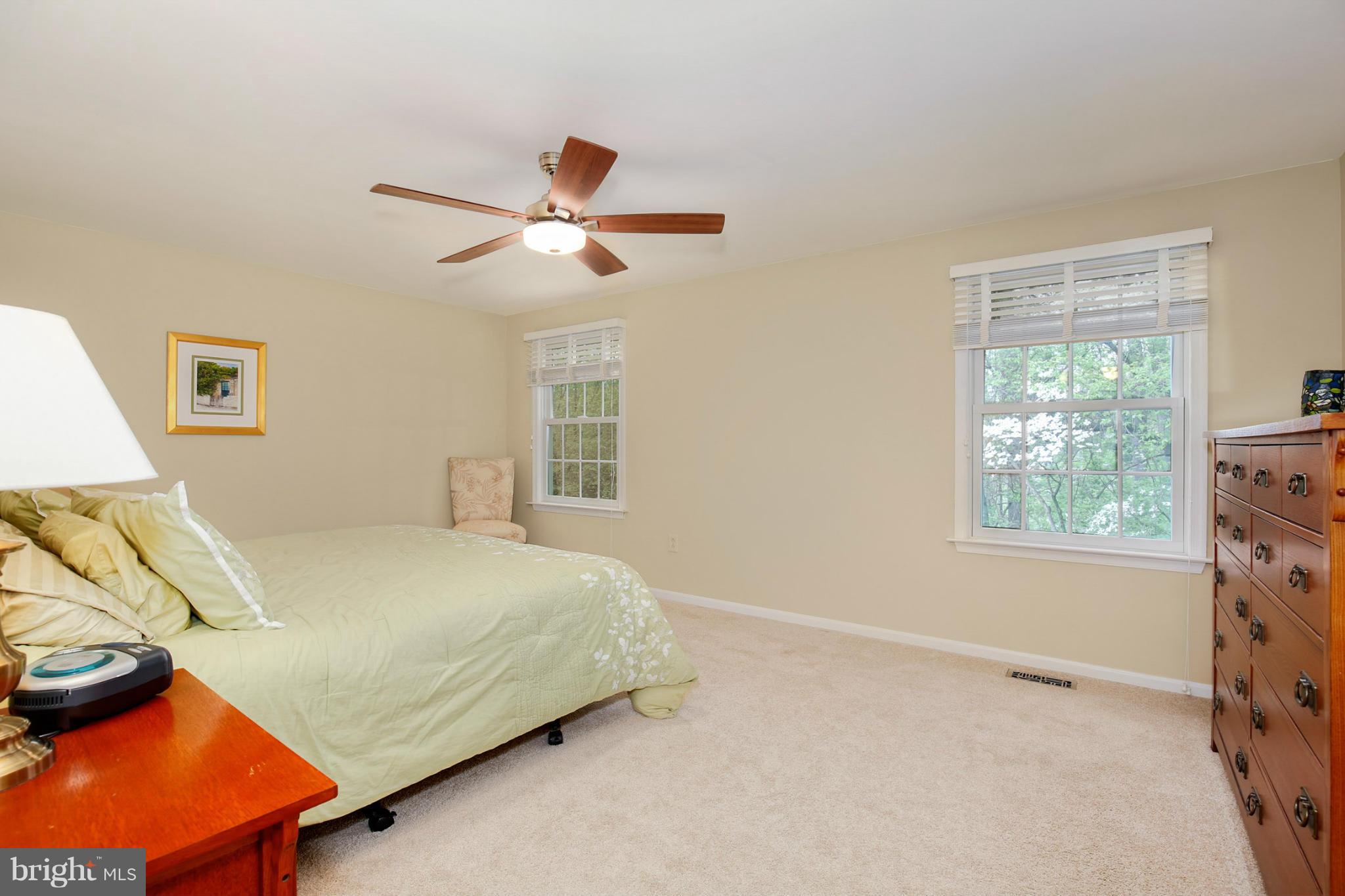 9514 Sweet Grass Ridge Columbia, MD 21046 - Photo 21 of 28 Bedroom (Master)