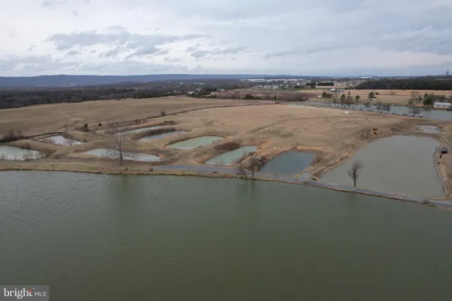 a view of a parking space with lots of trees
