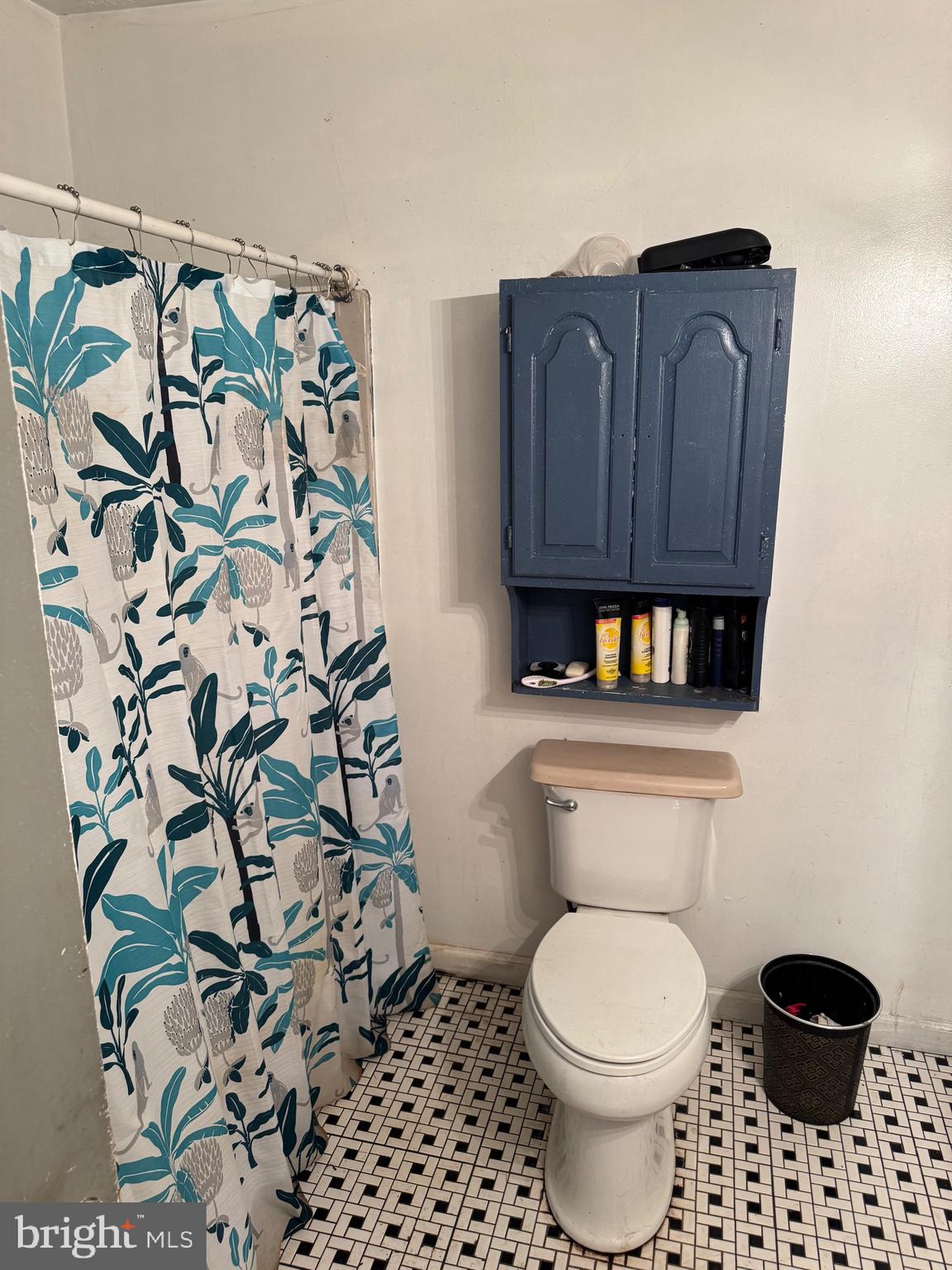 878 Hatchery Road Inwood, WV 25428 - Photo 129 of 131 a bathroom with a toilet and a shower curtain