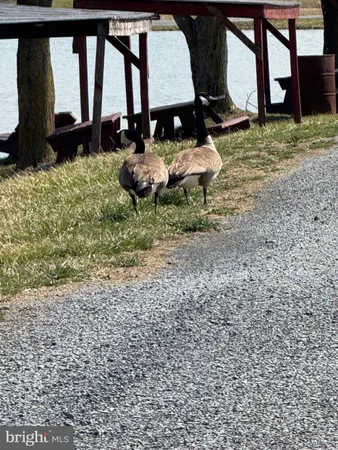 a view of a big room