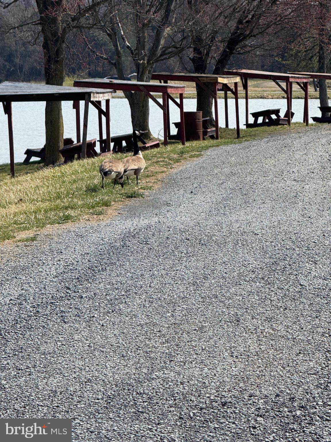 878 Hatchery Road Inwood, WV 25428 - Photo 64 of 131