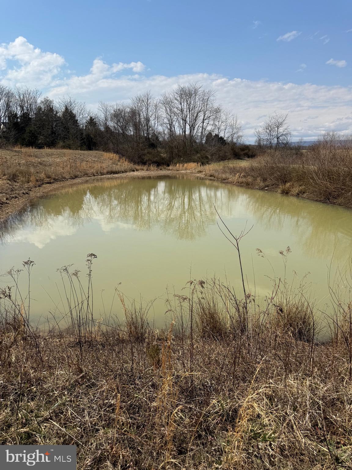 878 Hatchery Road Inwood, WV 25428 - Photo 72 of 131