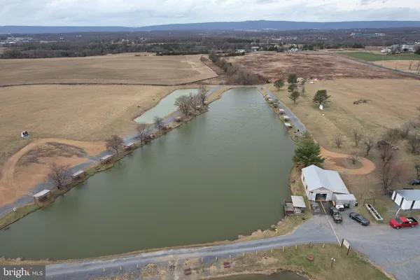 a lake view with boat and palm trees