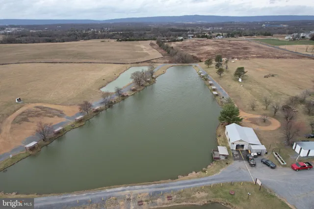 a lake view with boat and palm trees