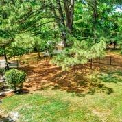 307 Raintree Drive Hendersonville, TN 37075 - Photo 37 of 42 a view of a yard with plants and large trees