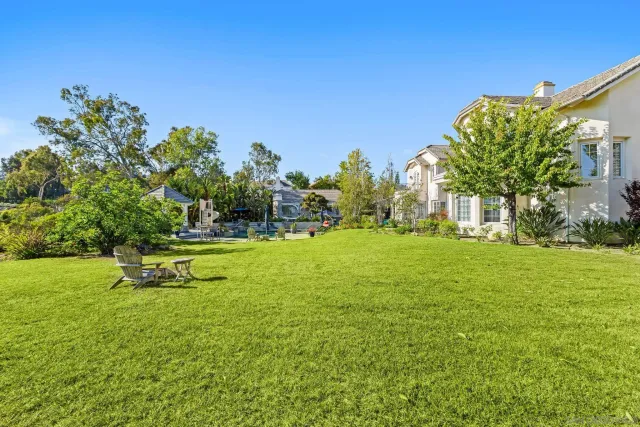 a view of a garden with a bench in the garden