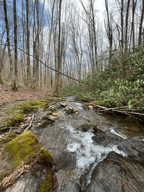 6 Squally Road Robbinsville, NC 28771 - Photo 17 of 19