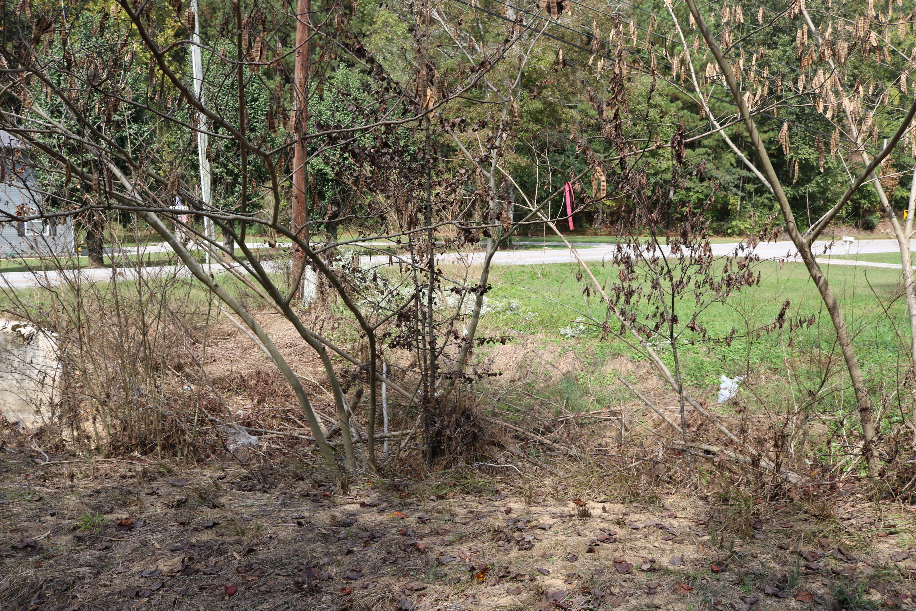 2612 Banks Road Chattanooga, TN 37421 - Photo 12 of 15 IMG_0704