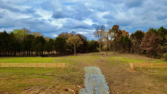 a view of yard with swimming pool and trees in the background