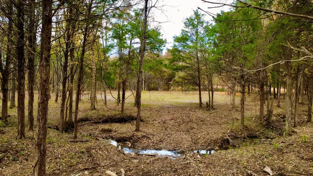 a view of backyard with green space