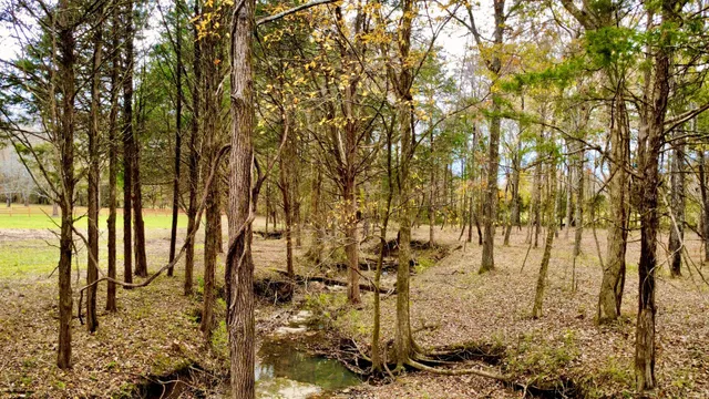 a view of a yard covered with snow