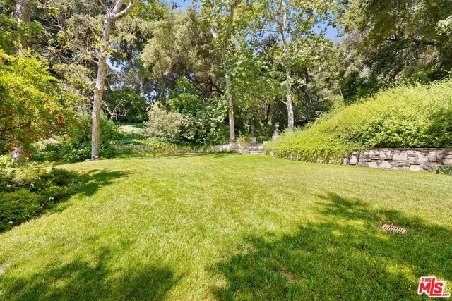 a view of yard with green space