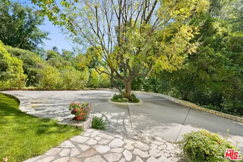 a view of a yard with plants