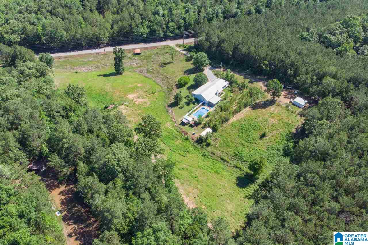 1591 Camp Brownie Road Sylacauga, AL 35151 - Photo 42 of 43