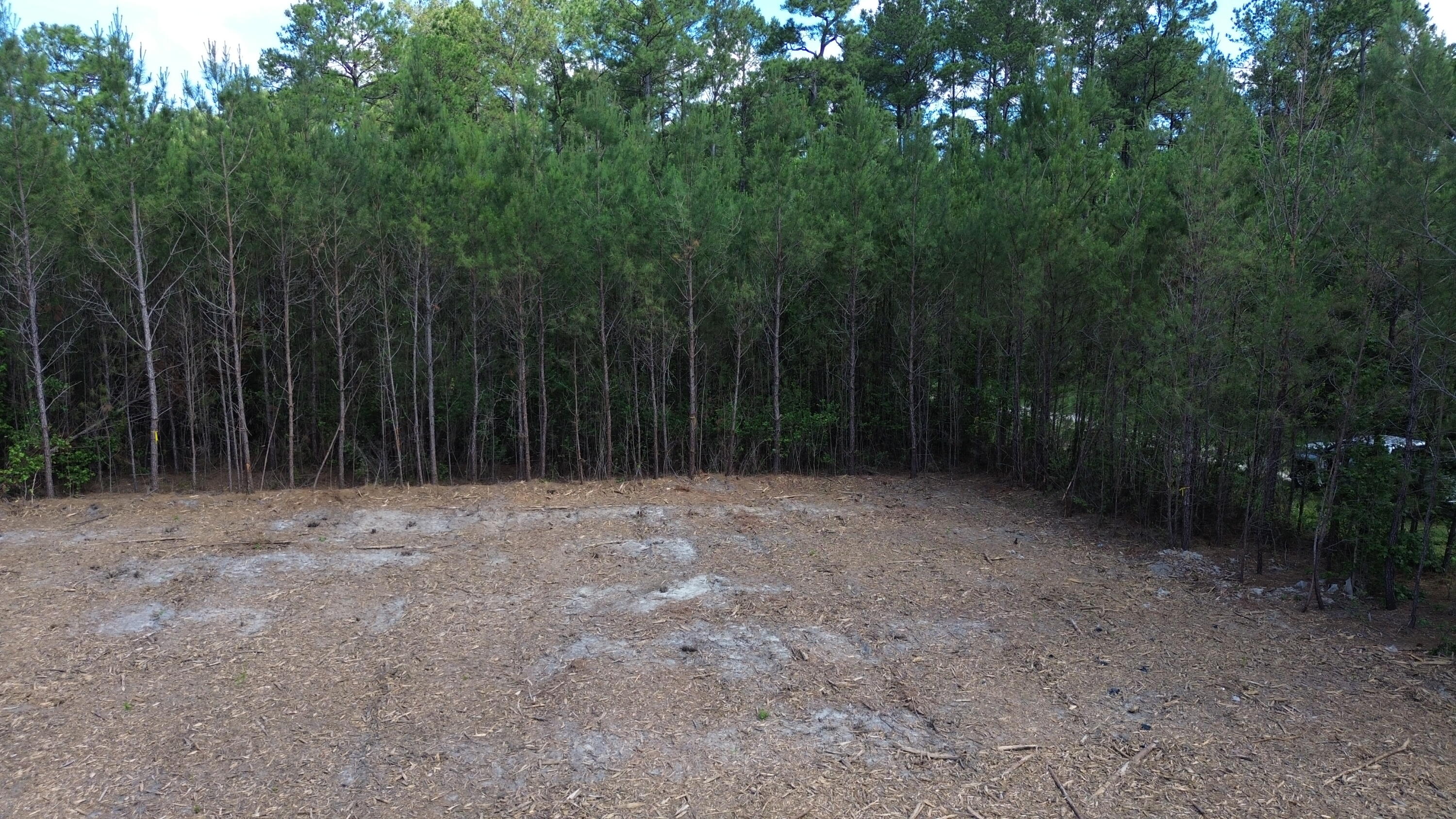 4 Highway 311 Cross, SC 29436 - Photo 5 of 11 DJI_0410