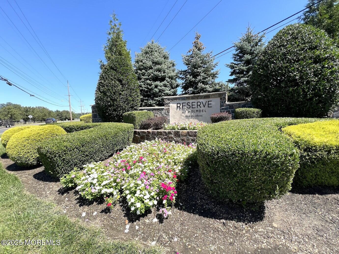 16 Exeter Way Holmdel, NJ 07733 - Photo 3 of 57 a view of a garden with plants
