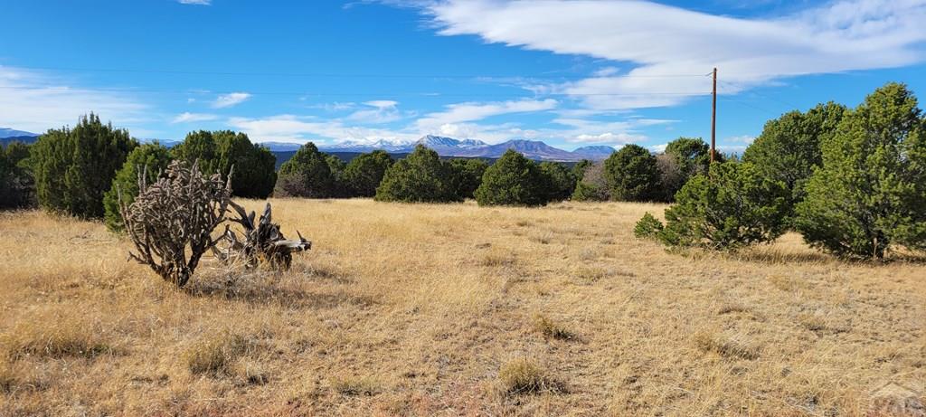 Lot 34 Silver Spur Road Walsenburg, CO 81089 - Photo 10 of 43
