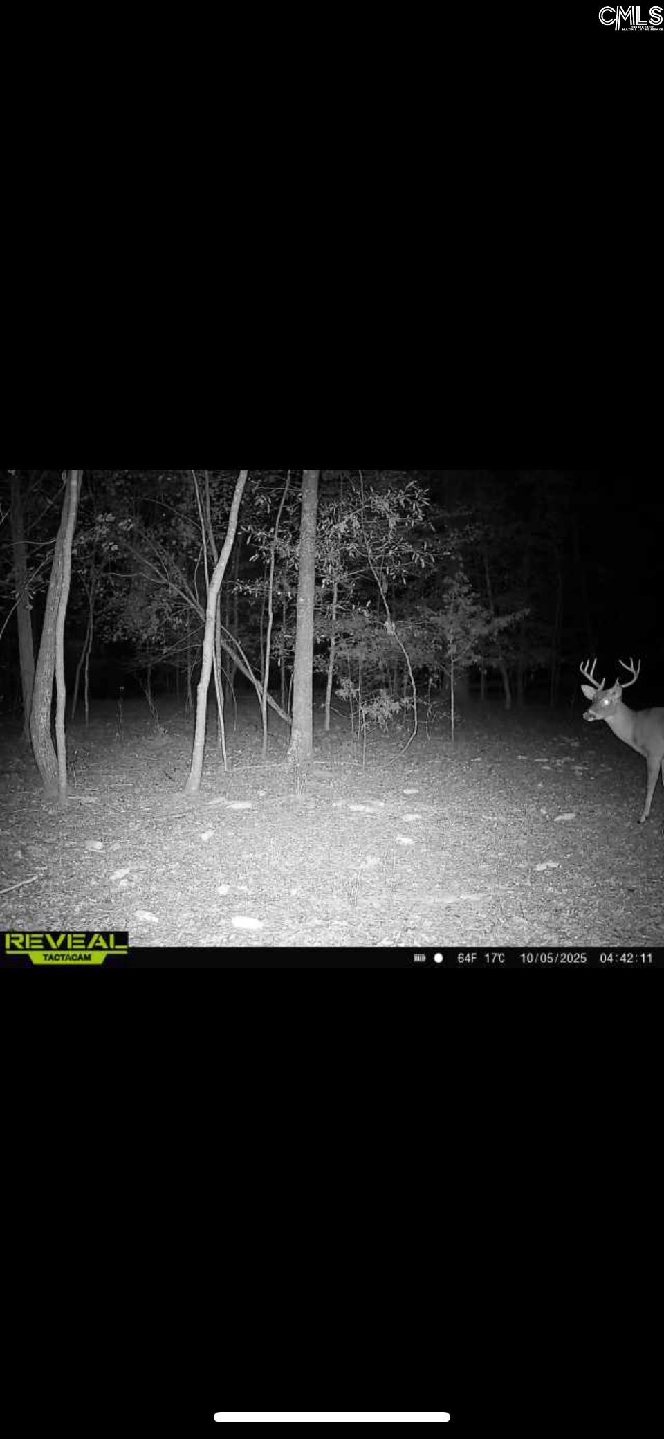 3600 Kennerly Road Irmo, SC 29063 - Photo 38 of 70