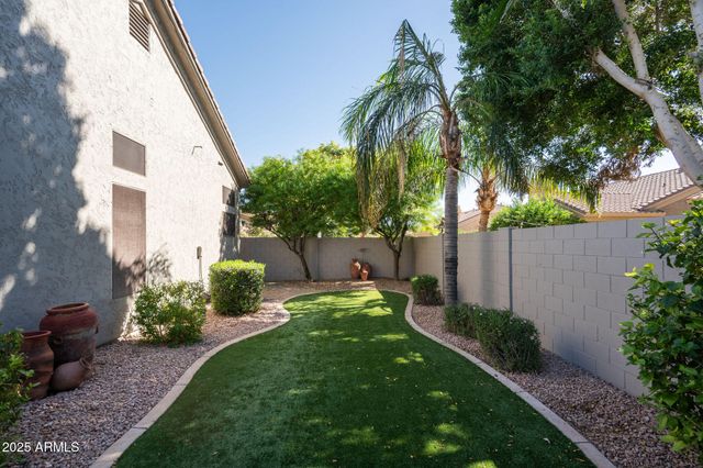 a view of a backyard with potted plants and large trees