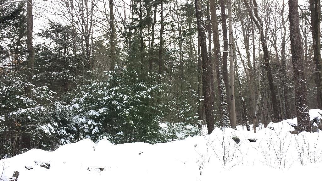 22 Rankin Street Springvale, ME 04083 - Photo 18 of 20 Photo