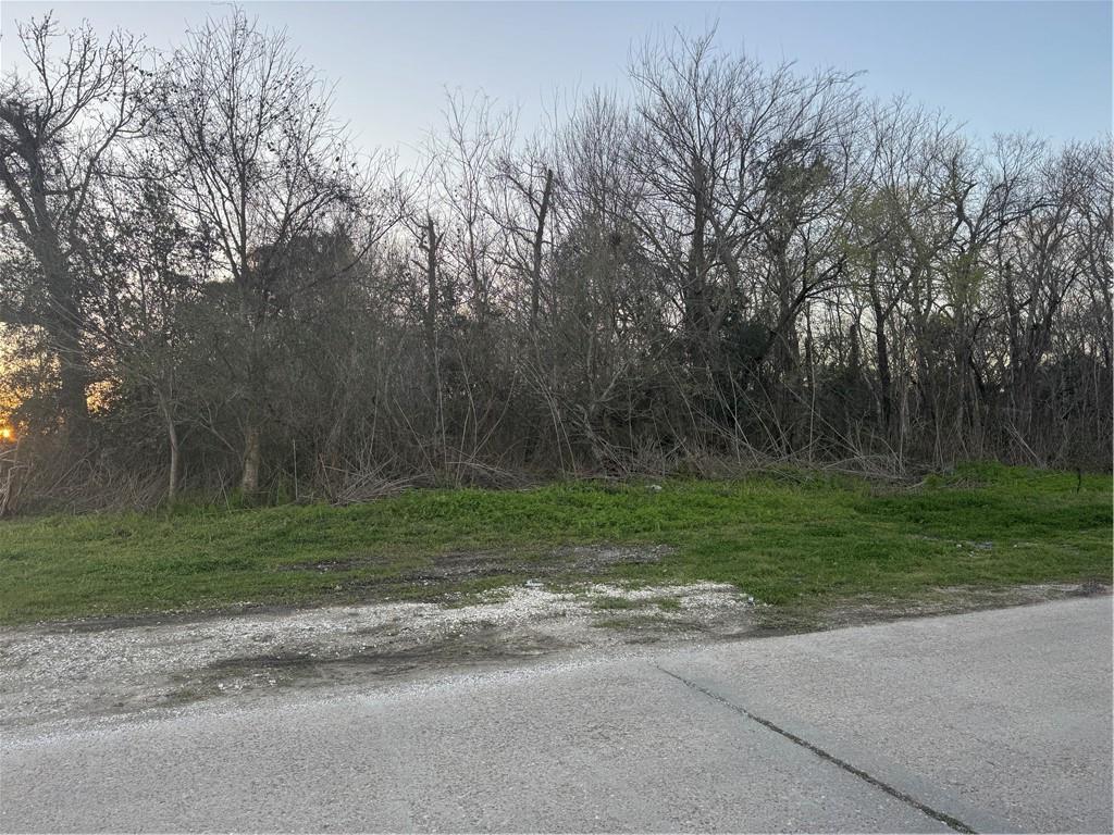 Lot 10 Reunion Violet, LA 70092 - Photo 2 of 11