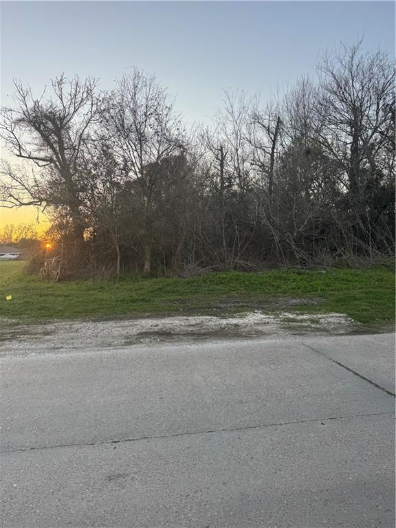 Lot 10 Reunion Violet, LA 70092 - Photo 4 of 11