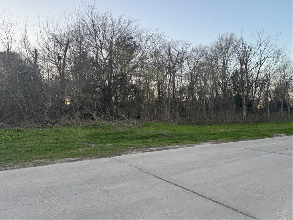 Lot 10 Reunion Violet, LA 70092 - Photo 6 of 11