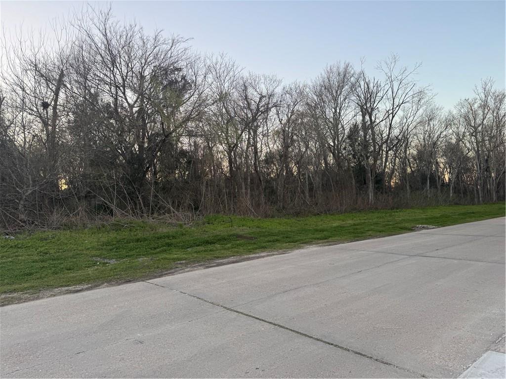 Lot 10 Reunion Violet, LA 70092 - Photo 7 of 11