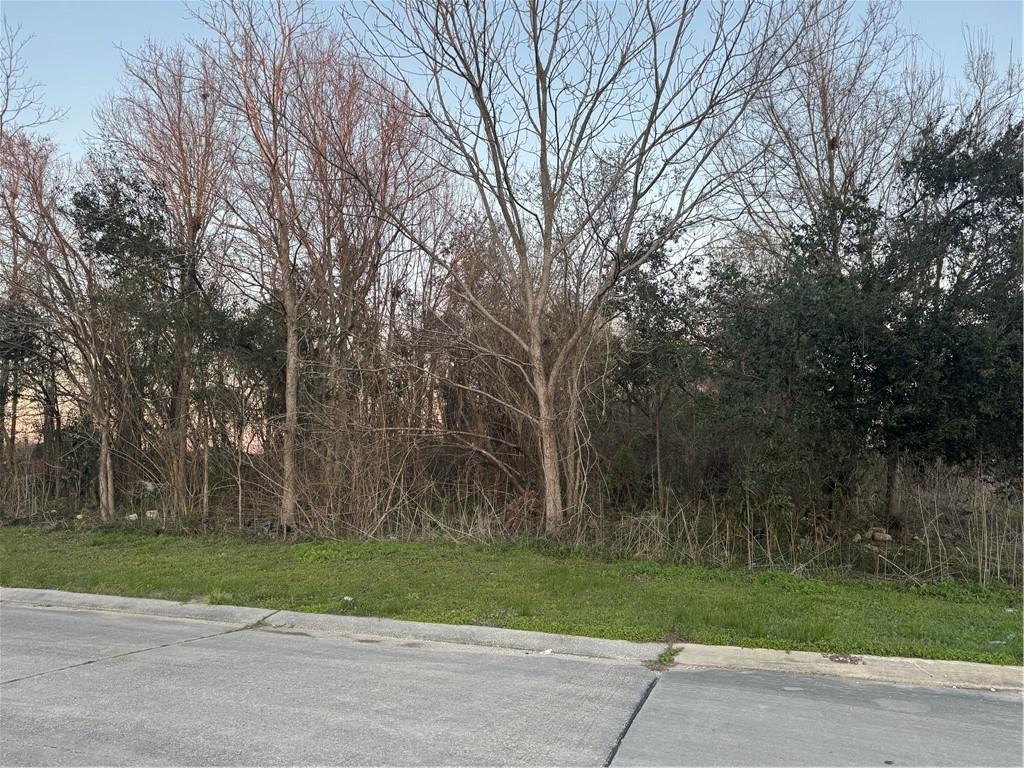 Lot 10 Reunion Violet, LA 70092 - Photo 9 of 11