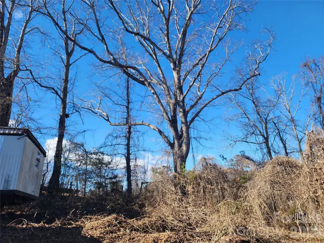 a view of a backyard of the house