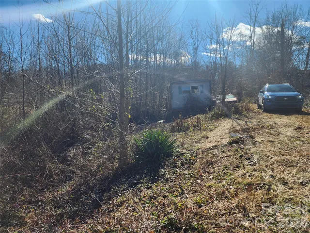 a view of a pathway with a yard