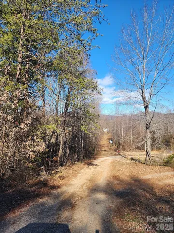 a view of outdoor space with trees